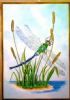 "dragonfly"