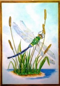 "dragonfly"