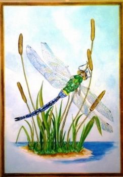 "dragonfly"