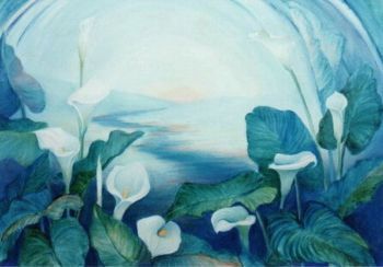 "Arums for Louise"