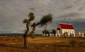 "Karoo Kerkies 1"
