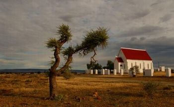 "Karoo Kerkies 1"