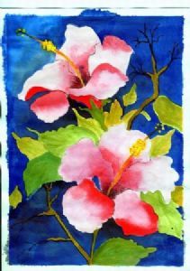 "Hibiscus"