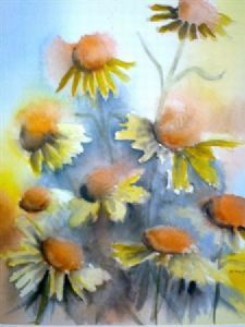 "Gloriosa Daisies"