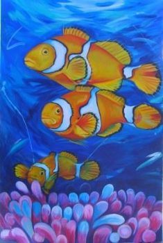 "Clown Fish in Anenome"