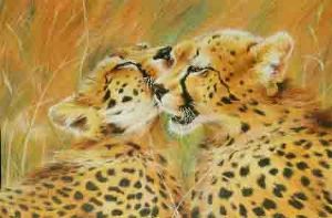 "Cheetah Cubs Grooming "