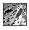 "Nature Abstract II"