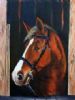 "Horse Portrait"