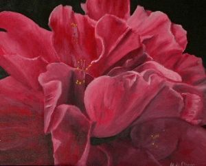 "Hibiscus"