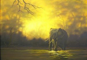 "Lone Elephant Bull at Sunset - Chobe"