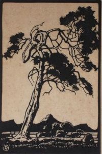 "Rooibosboom"