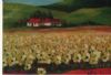"Sunflowerfield 2"