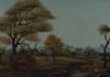 "Bosveld 2"