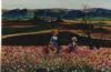 "Picking Cosmos"
