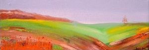 "Canola Field 2"