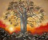 "Baobab"