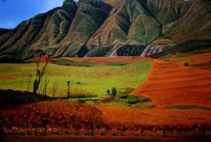 "Kaapse geluk"