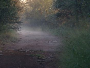 "After the Rain"