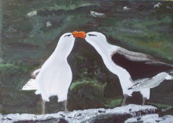 "Albatrosses courting"