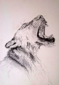 "Lion Yawning"