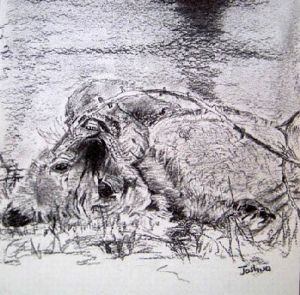 "Cub Playing"