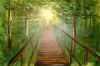 "Garden of Eden"
