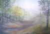 "Sunlight in the Woods"