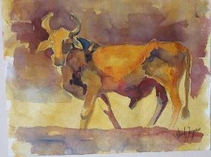 "Nguni Bull"