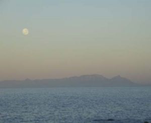 "Dawn Moon"