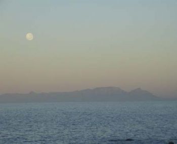 "Dawn Moon"