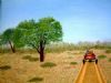 "going home"