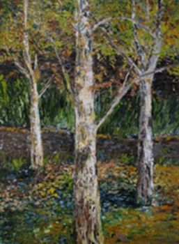 "Birch Garden"