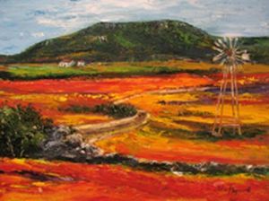 "Wild flowers in Namaqualand"
