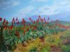 "Aloe Hedge"