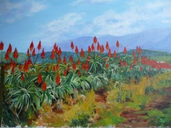 "Aloe Hedge"