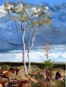 "The Big Tree-Karoo"