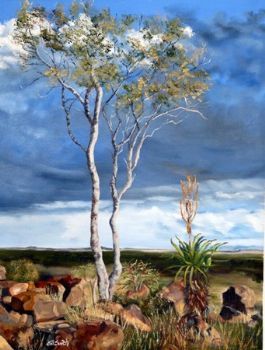 "The Big Tree-Karoo"