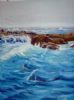 "Seal Island"