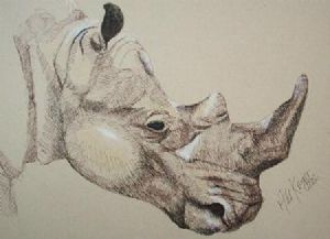 "Rhinoceros"