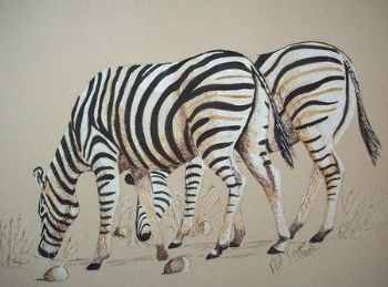 "Grazing Zebras"