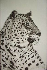 "Leopard 1"