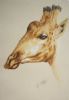 "Giraffe 1"