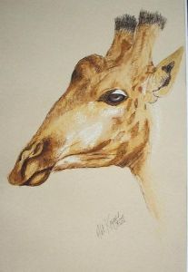 "Giraffe 1"