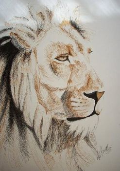 "Lion 1"