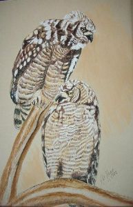 "Owl Pair - Giant Eagle Owls"