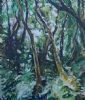"Piri Forest"