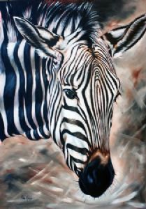 "Zebra"
