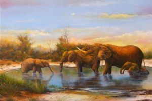 "Elephant Splash"