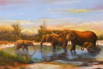 "Elephant Splash"