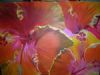 "Natures Clashing Colours"
